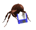 a weevil like bug munching on a floppy disk